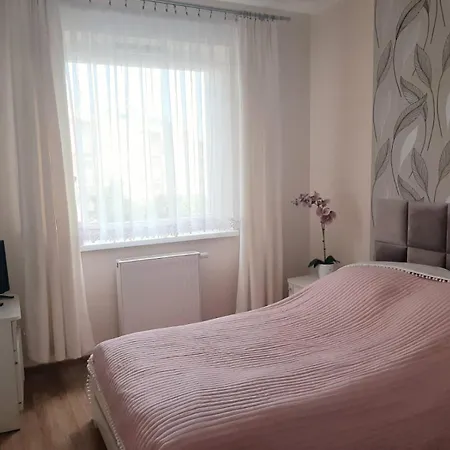 Magellana * Wroclaw