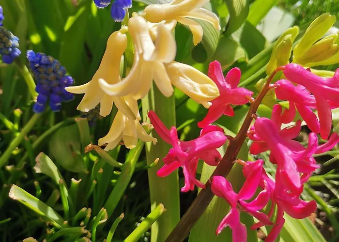 Appartement Magellana Wrocław